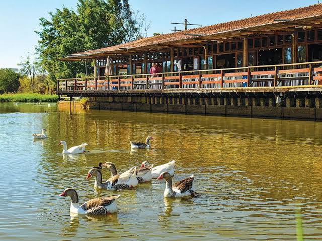Leite na Pista: O Refúgio Gastronômico A Caminho de Campos do Jordão